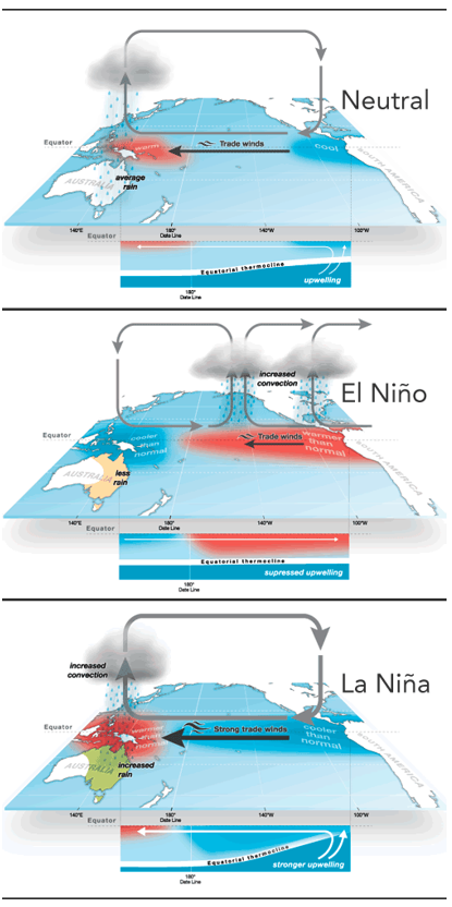 Diagram of the effect of El Ni&ntilde;o and La Nina.